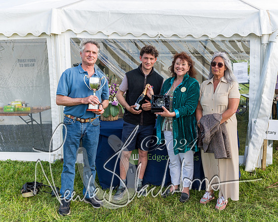 Race 7 - Veteran Horse (11 of 246)