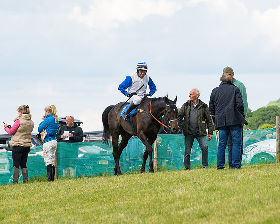 Race 5 - Restricted  (99 of 136)