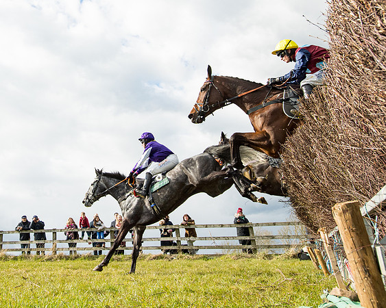Race 5 - Restricted  (24 of 118)