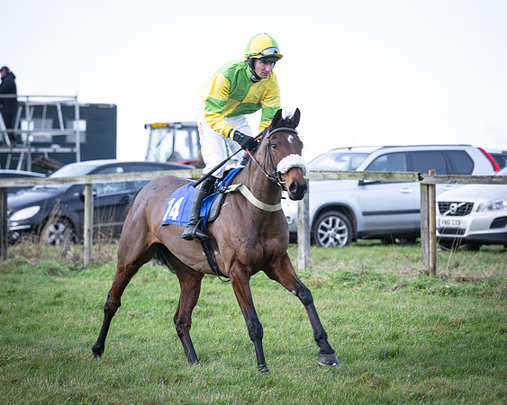 Race 2 - Maiden (26 of 145)