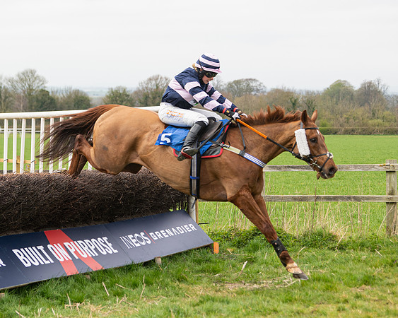 Race 2 - Veteran Horse (102 of 153)