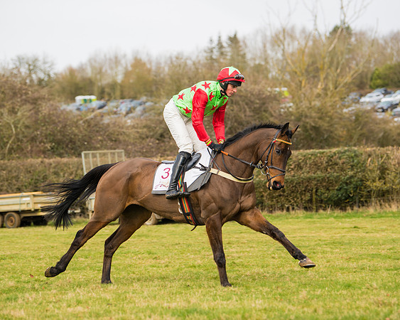 Race 2 - Open Maiden (16 of 128)