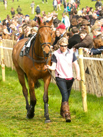 Old Berks at Lockinge Restricted Race