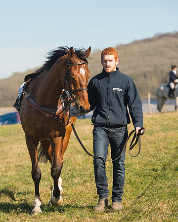 Race 1 Div 1 - 2M4F Maiden (23 of 117).jpg
