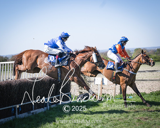 Race 4 - Mixed Open (134 of 168)