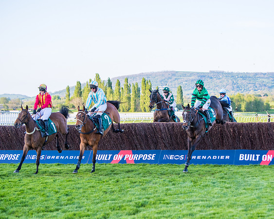 Race 5 - ITM Mares'  (22 of 181)