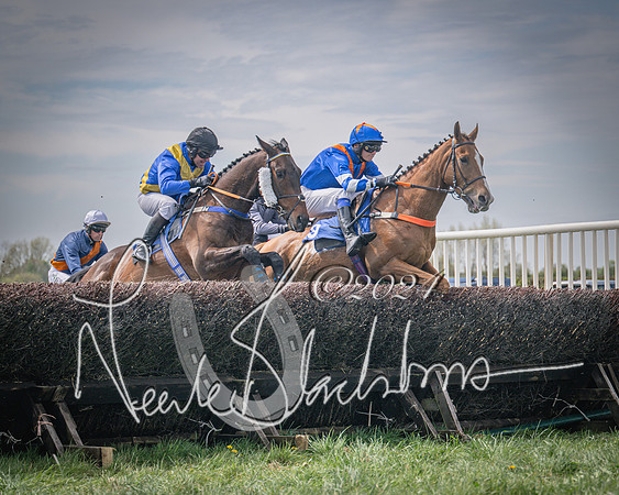 Race 2 - The Elliott of London maiden race (38 of 137)