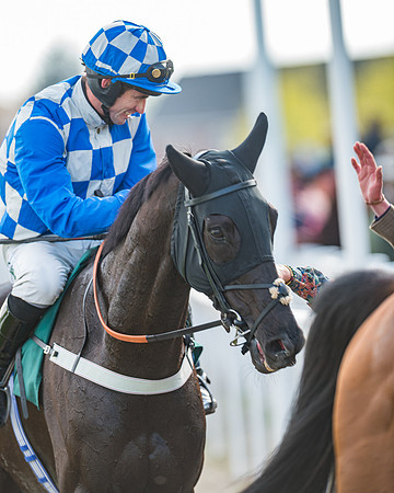 Race 1 - The open Hunter chase  (90 of 95)