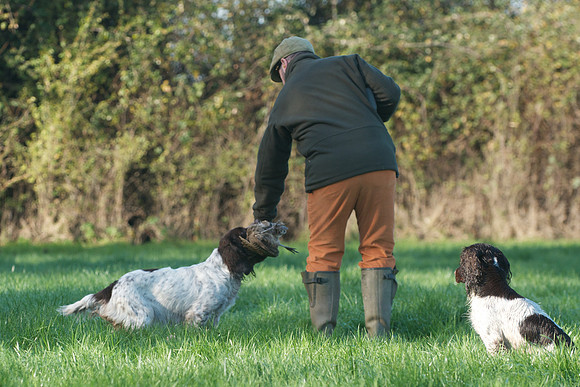 DA2_3915