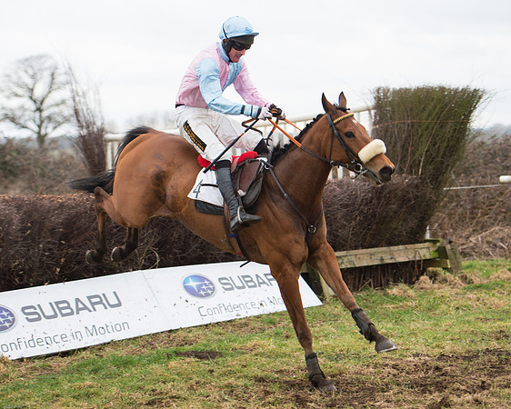 Race 6 - Open Maiden (93 of 100).jpg