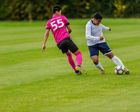 edsv 6-0 191016 (83 of 257)
