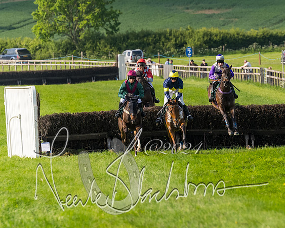 Race 6 - Owner trainer conditions (125 of 272)