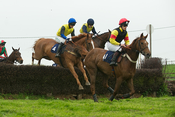 Race 6 - Maiden 34