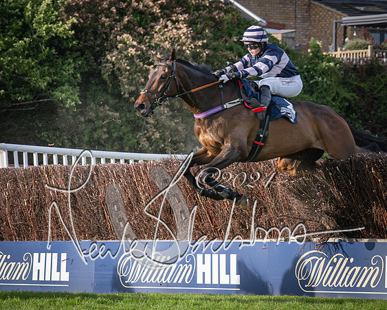 Race 3 - The pointtopoint.co.uk champion novices’ Hunter Chase (102 of 140)