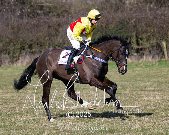 Race 1 - Maiden (47 of 188)