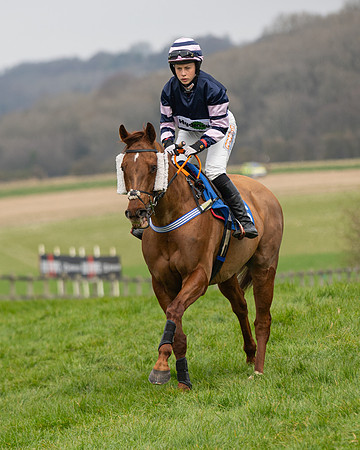 Race 2 - Veteran Horse (2 of 153)