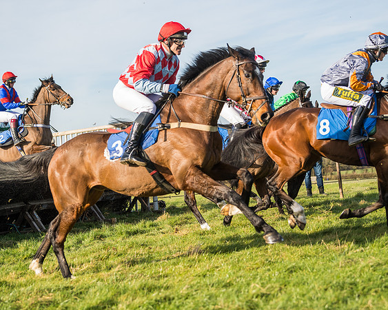 Race 5 - Restricted (36 of 146)
