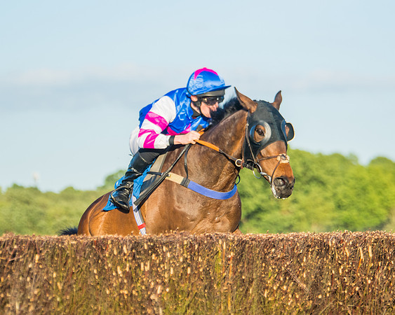 Race 5 - White Swan Hotel Handicap (39 of 80)