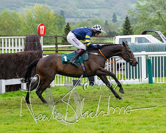 Race 5 - Mares Open  (56 of 129)