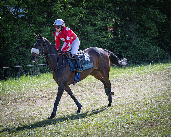 Race 5 - F N Pile and Sons PPORA Novice Riders (15 of 151)