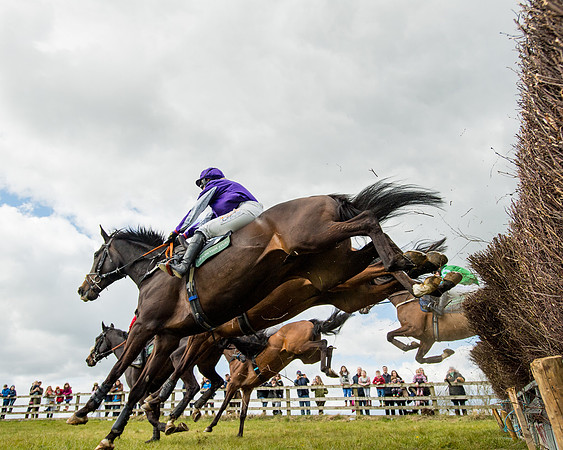 Race 2 - Young Horse Maiden (42 of 104)