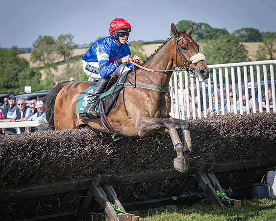 Race 5 - Restricted (81 of 116)