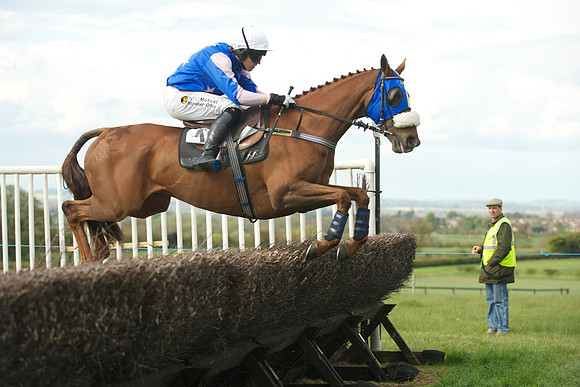 Southern Grand National  17