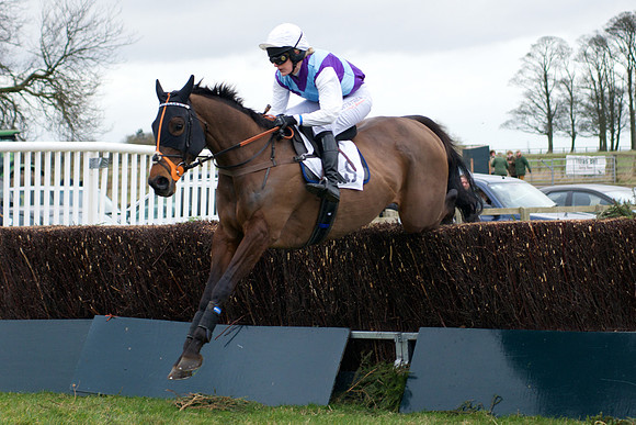 Novice Riders - 35