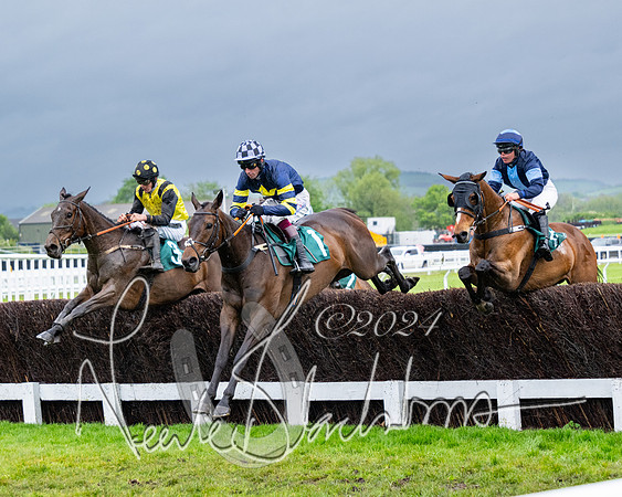 Race 5 - Mares Open  (41 of 129)