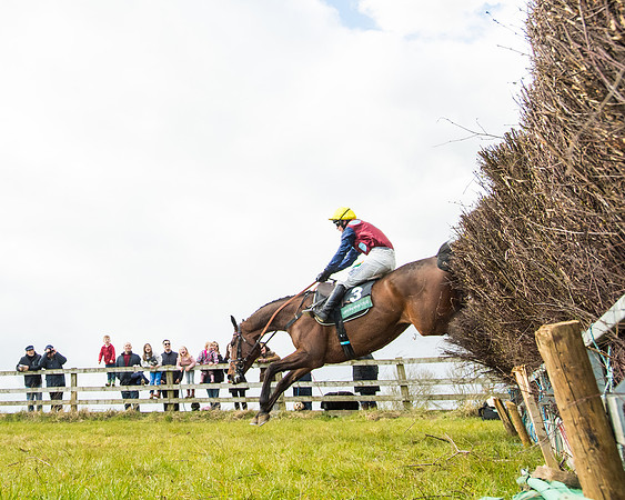 Race 5 - Restricted  (55 of 118)
