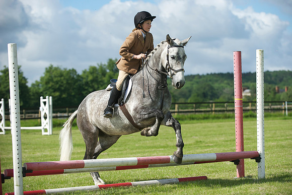 SOHS PC Summer Show at BCA 17th June 2012