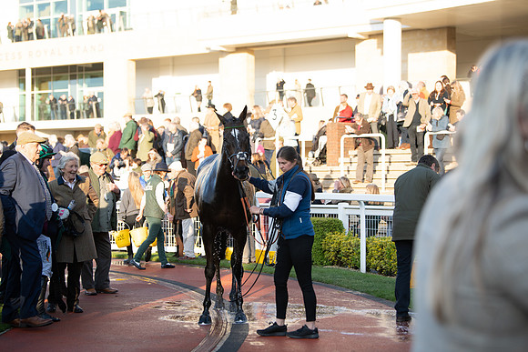 Race 5 - ITM Mares'  (119 of 181)