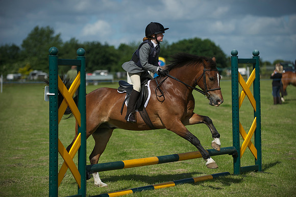 SOHS PC Summer Show at BCA 17th June 2012