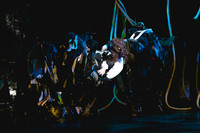 Act-Two   4