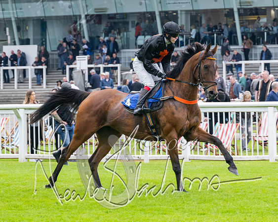Race 2 - Ladies Open Final (19 of 94)