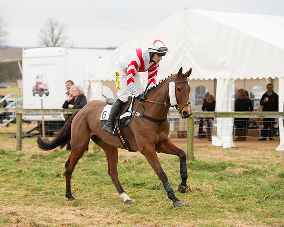 Race 6 - Open Maiden (30 of 100).jpg