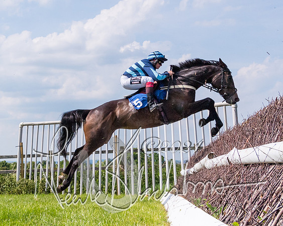Race 3 (1 of 2)