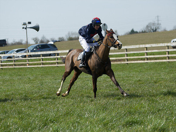 Pony Race 3 -  39