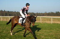 Races 6 - Open Maiden 9