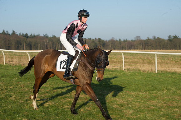 Races 6 - Open Maiden 9