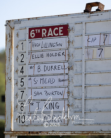 Race 6 - Veteran horse (1 of 109)