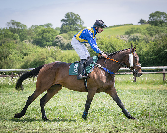 Race 2 - The Maiden (34 of 126)