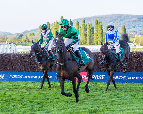Race 5 - ITM Mares'  (25 of 181)