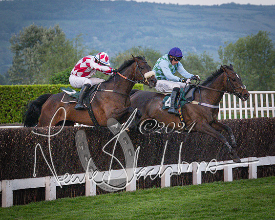 Race - 7 The Royal Gloucester Hussars Open Hunter's steeplechase 2m4f 127y (112 of 210)