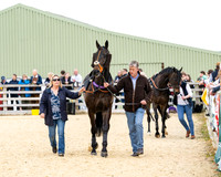 Race 2 - 2M4F Conditions (17 of 195)