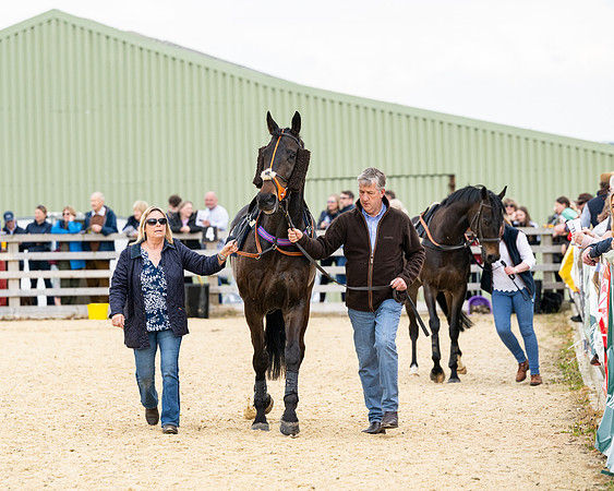 Race 2 - 2M4F Conditions (17 of 195)
