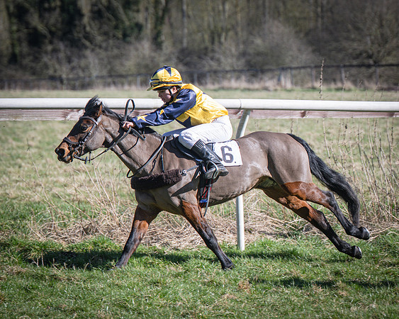 Pony Races (40 of 112)