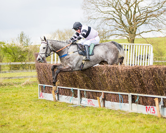 Race 5 - Restricted  (77 of 118)