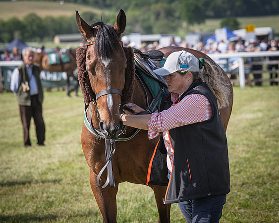 Race 5 - Restricted (18 of 116)