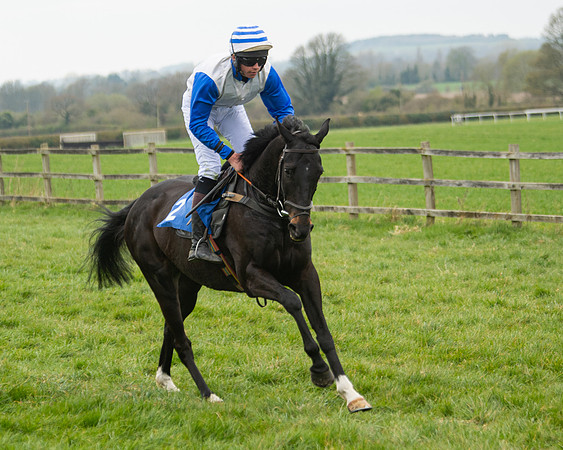 Race 3 - Open maiden  (40 of 273)